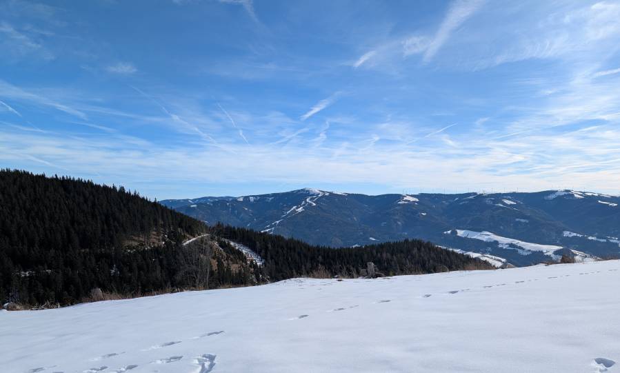 pxl_20250125_113724801.jpg