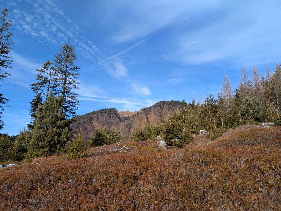 pxl_20250125_123904930.jpg
