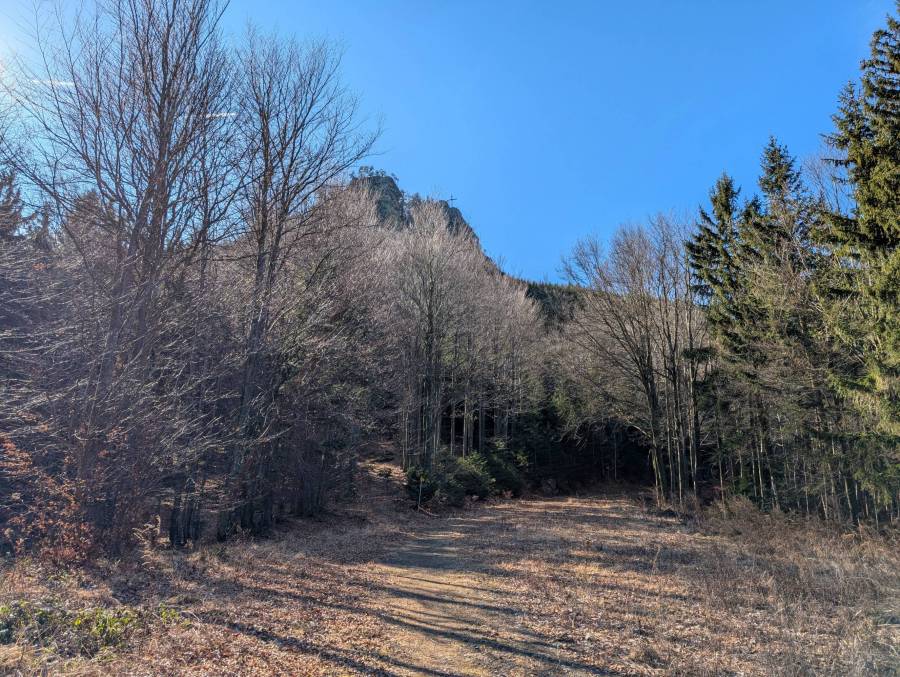 pxl_20250302_095753854.jpg
