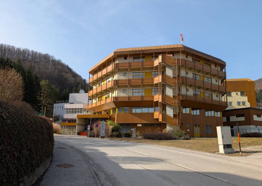 pxl_20250308_085036287.jpg