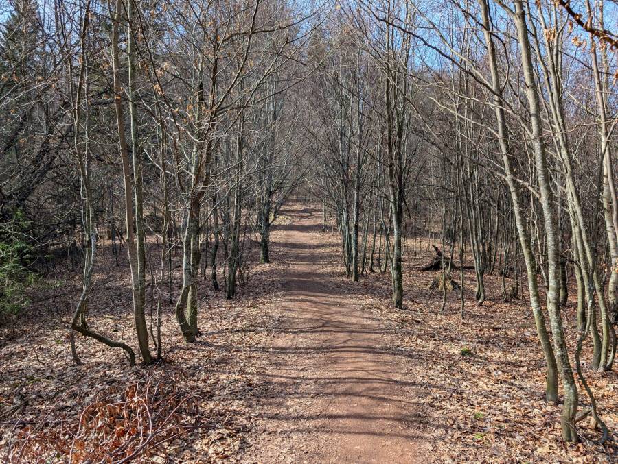 pxl_20250308_100802318.jpg