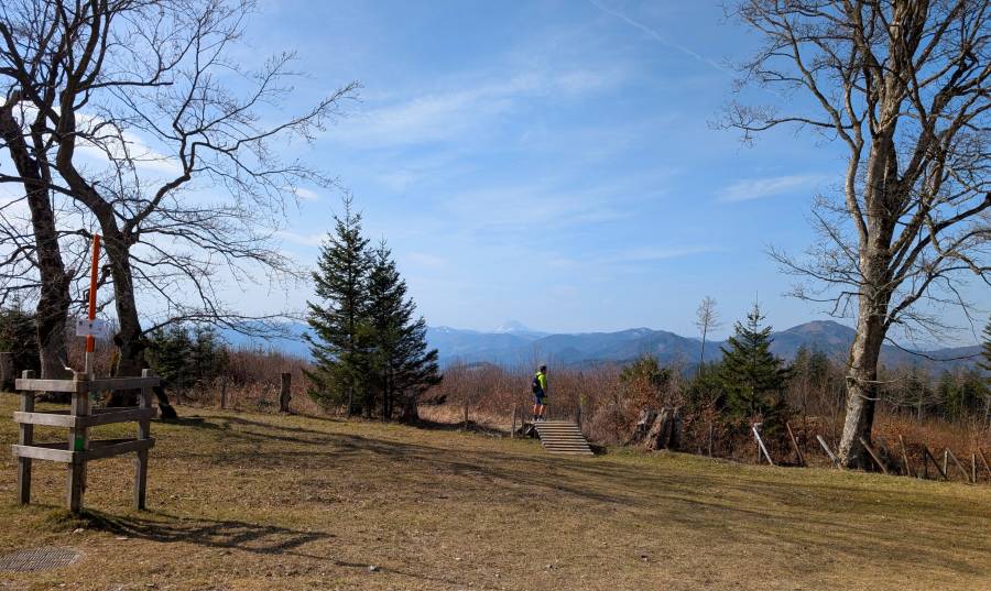 pxl_20250308_103127700.jpg