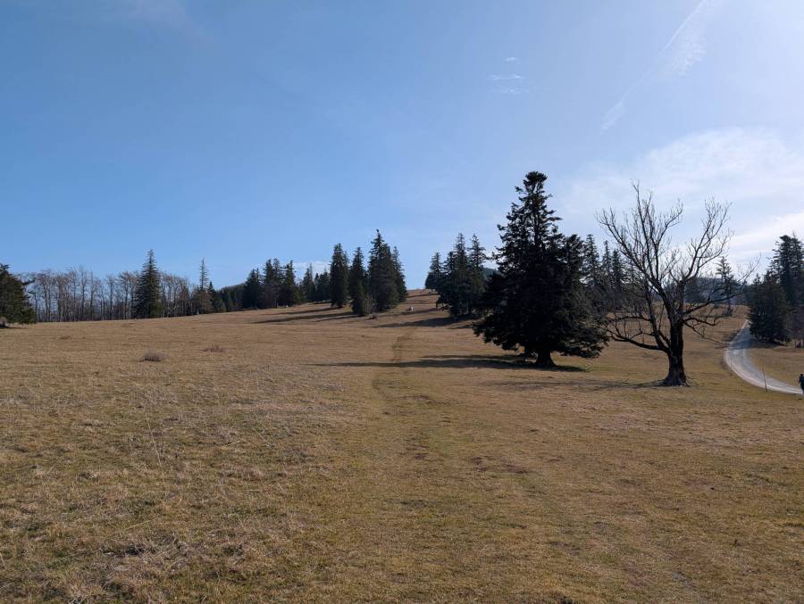pxl_20250308_103341015.jpg