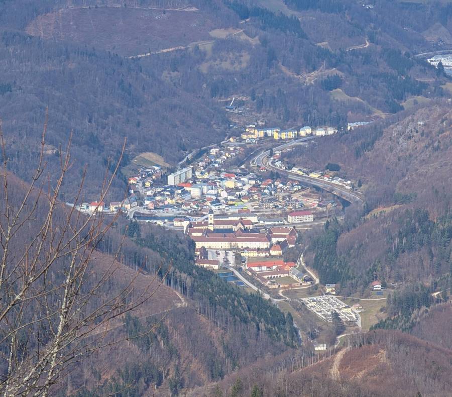 pxl_20250308_112647968.jpg