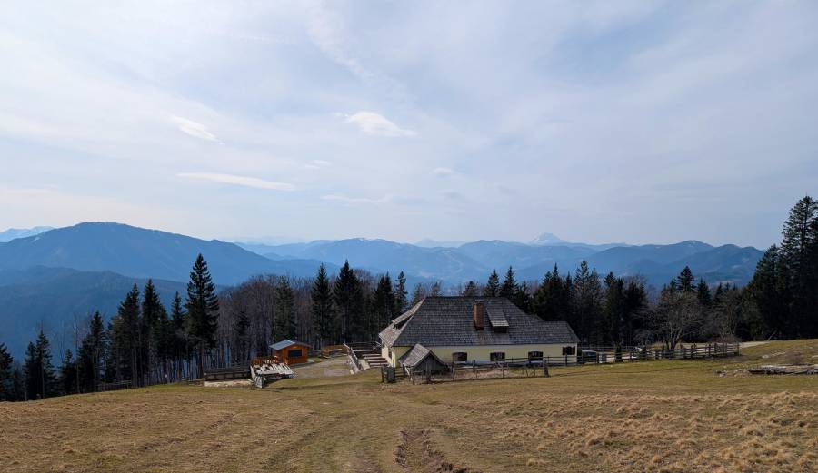 pxl_20250308_115031169.jpg