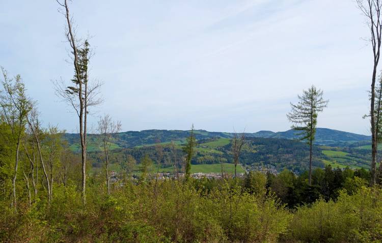 pxl_20250421_071818907.jpg