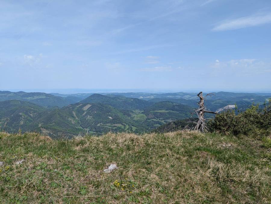 pxl_20250503_082004568.jpg