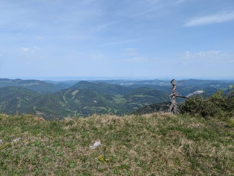 pxl_20250503_082004568.jpg