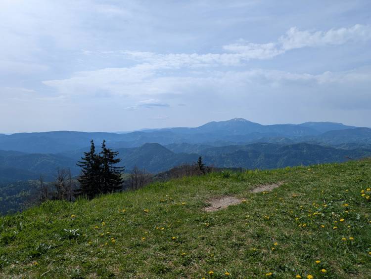 pxl_20250503_082520543.jpg