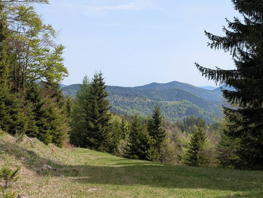 pxl_20250503_093502060.jpg