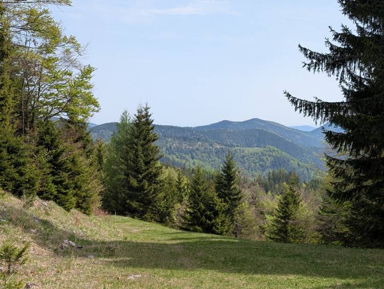 pxl_20250503_093502060.jpg