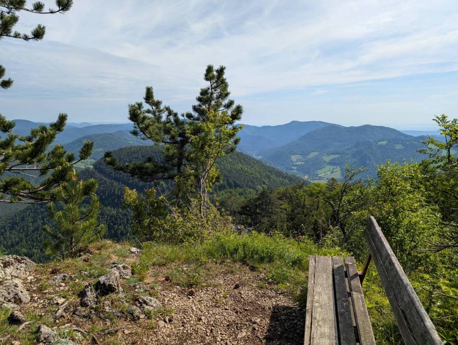 pxl_20250601_073842593.jpg