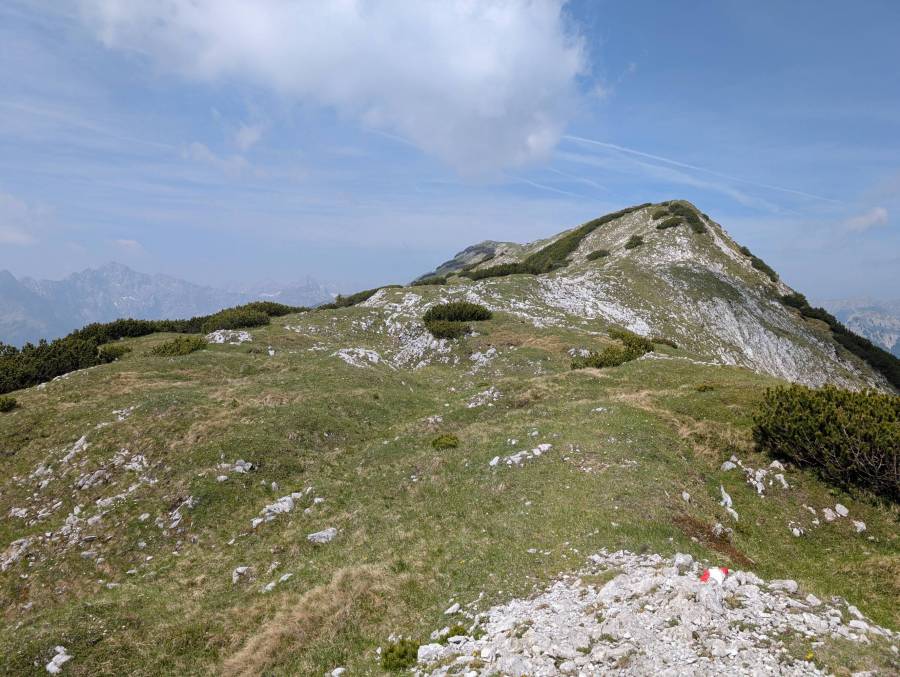 pxl_20250611_091141816.jpg