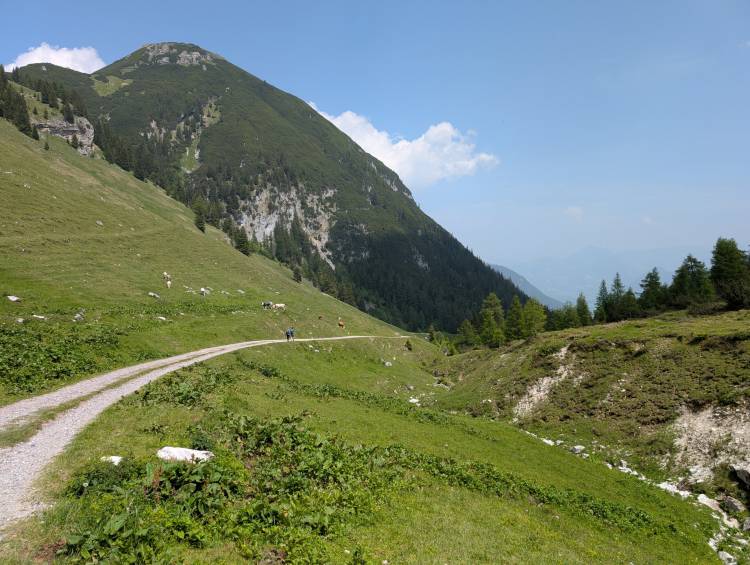 pxl_20250611_120427856.jpg