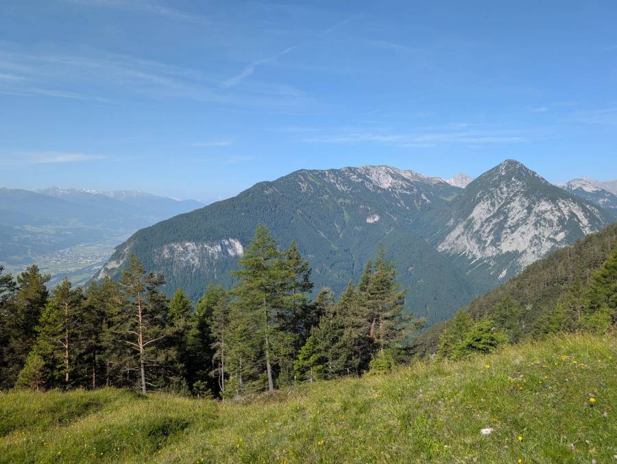 pxl_20250613_070236062.jpg
