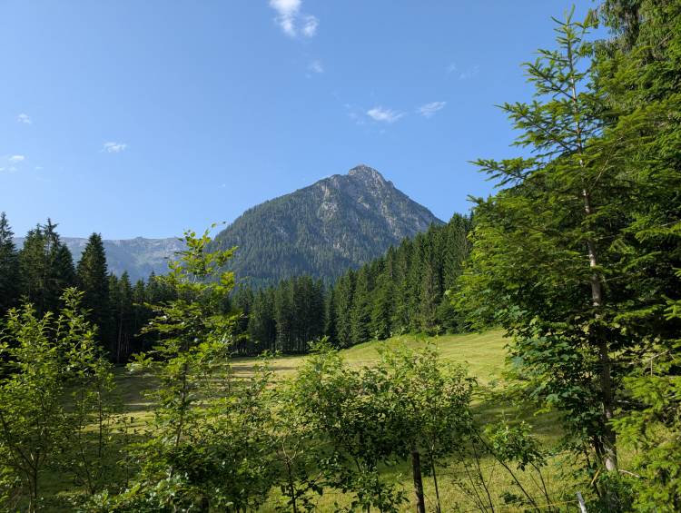 pxl_20250614_064258116.jpg