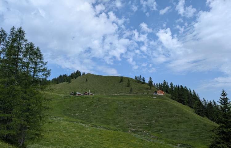 pxl_20250614_075953075.jpg