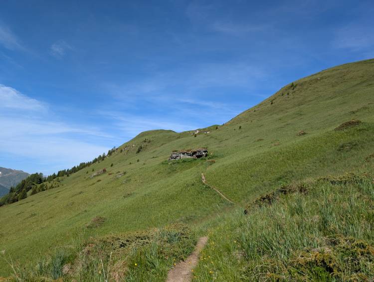 pxl_20250618_070859494.jpg