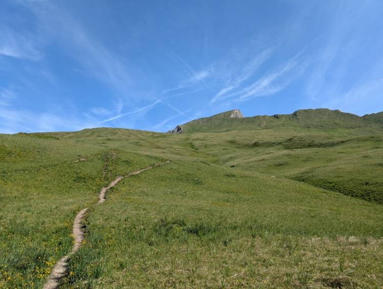 pxl_20250618_072608305.jpg