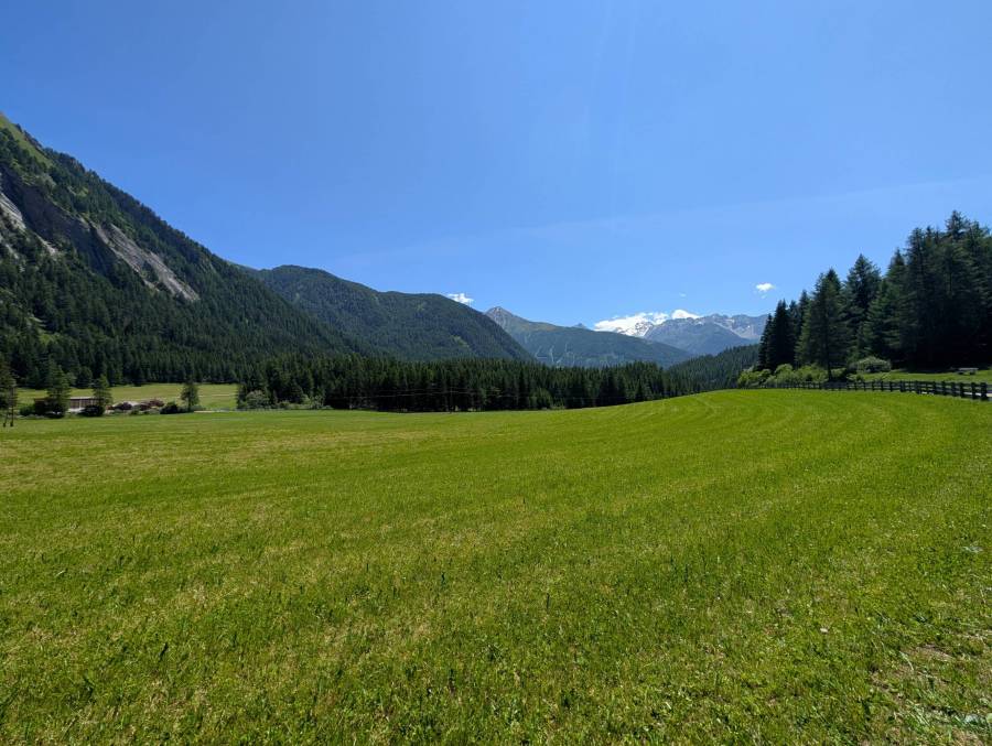 pxl_20250619_104947669.jpg