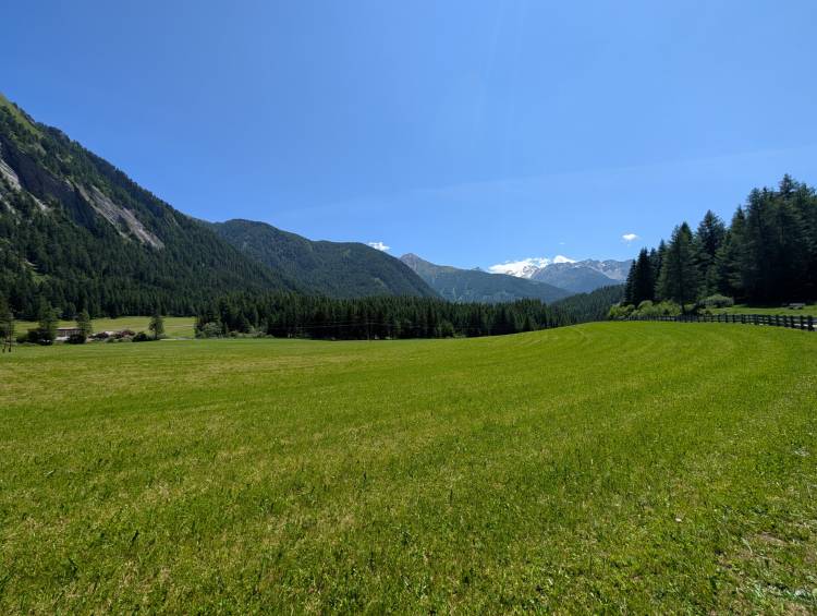 pxl_20250619_104947669.jpg