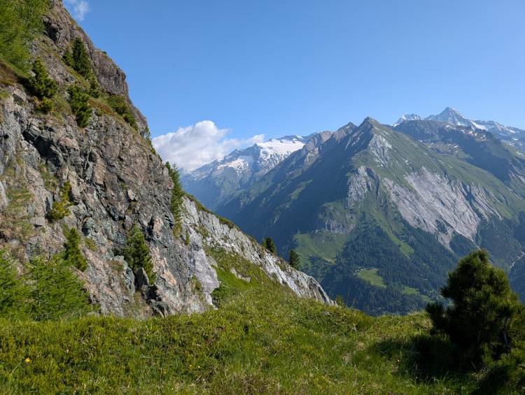 pxl_20250620_072624238.jpg