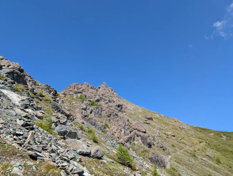 pxl_20250620_074626357.mp.jpg