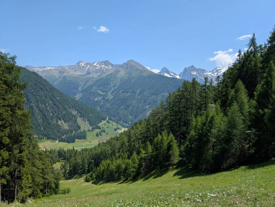 pxl_20250620_113945376.jpg