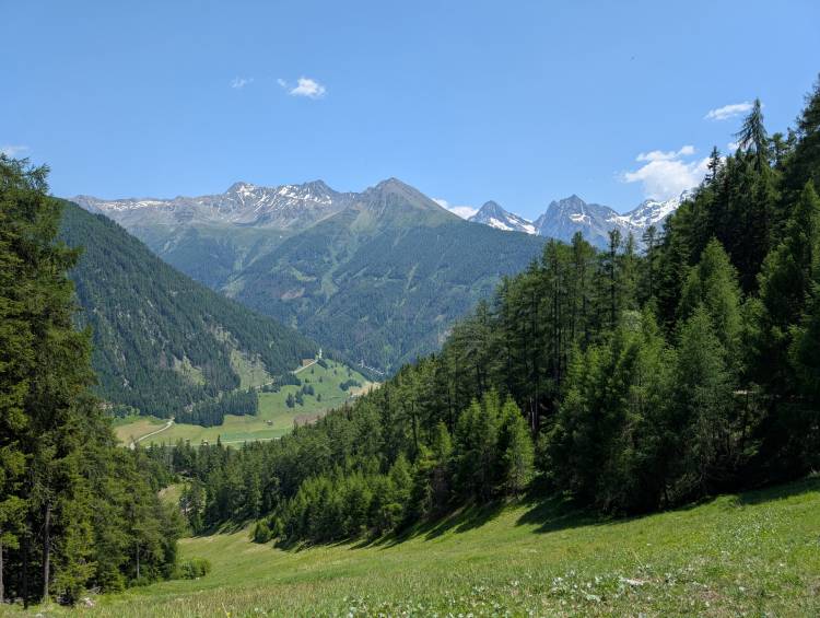pxl_20250620_113945376.jpg