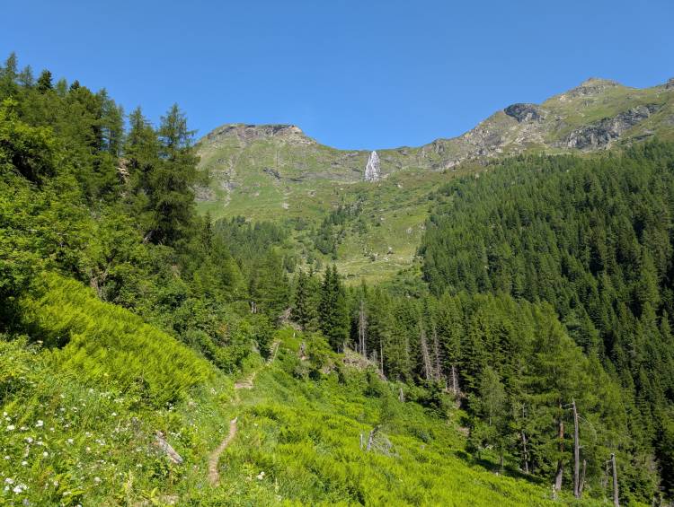 pxl_20250621_082638093.jpg