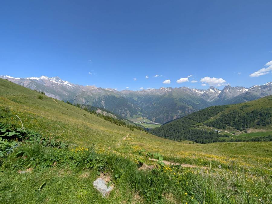pxl_20250622_130124741.jpg