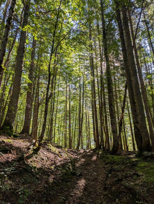 pxl_20250908_080614922.jpg pxl_20250908_080614922.jpg