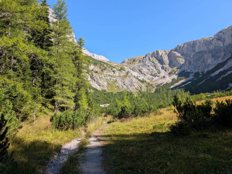 pxl_20250908_084549630.jpg pxl_20250908_084549630.jpg