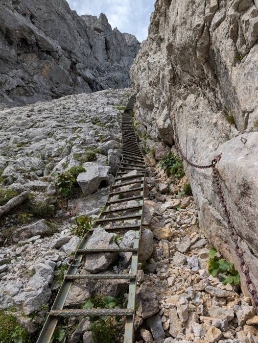 pxl_20250908_110337522.jpg pxl_20250908_110337522.jpg