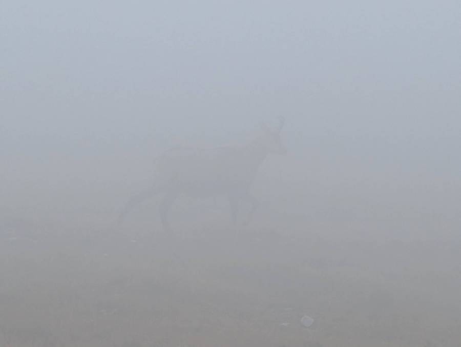 pxl_20250909_090223508.jpg pxl_20250909_090223508.jpg