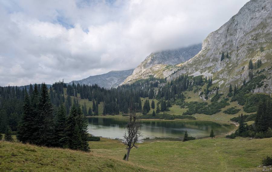 pxl_20250909_104333316.jpg pxl_20250909_104333316.jpg