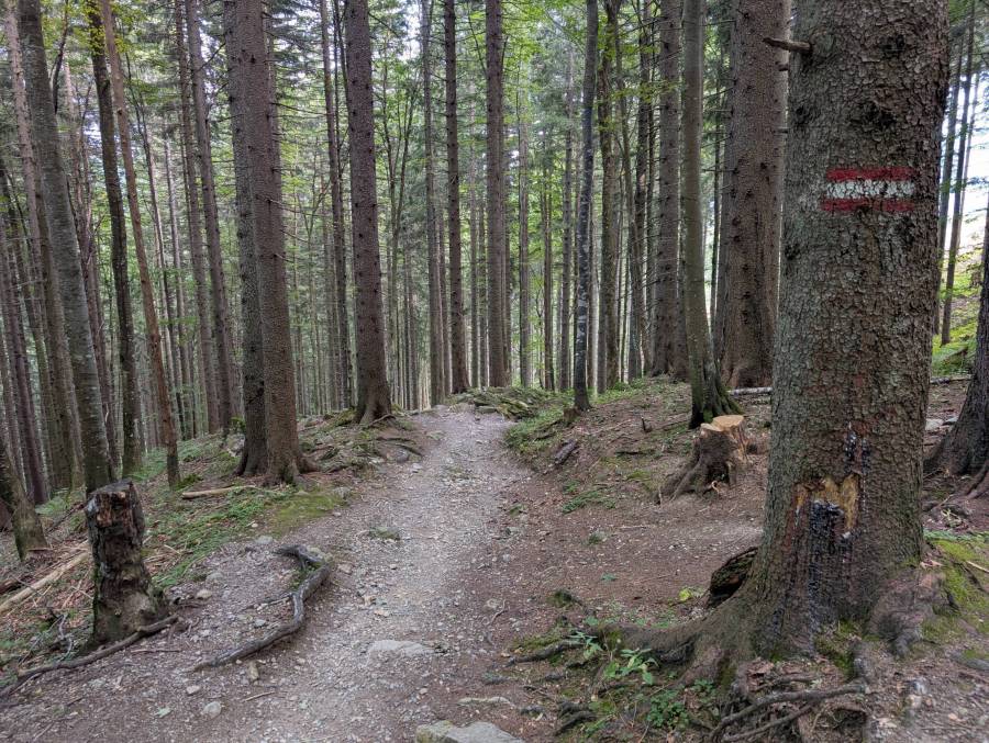 pxl_20250909_124745529.jpg pxl_20250909_124745529.jpg