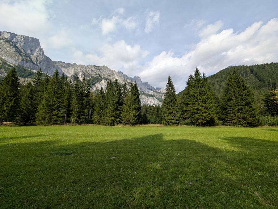 pxl_20250909_131211296.jpg pxl_20250909_131211296.jpg