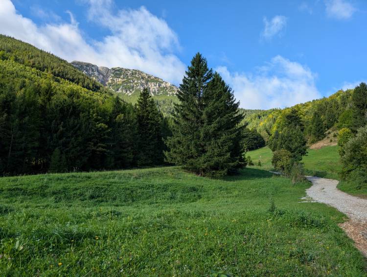 pxl_20250915_070114846.jpg pxl_20250915_070114846.jpg