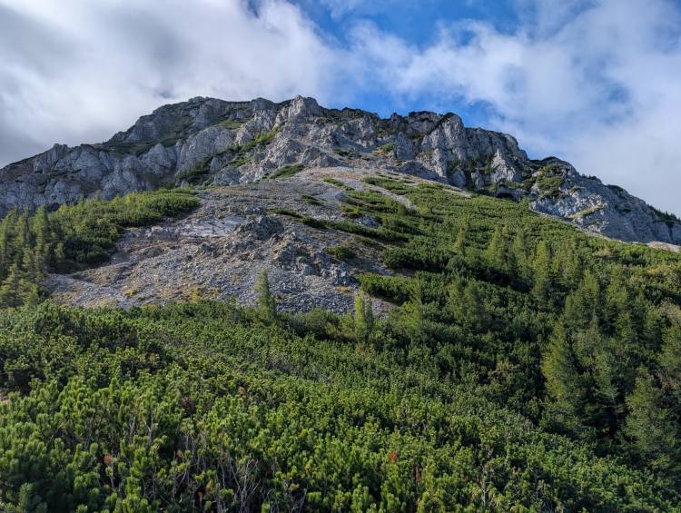 pxl_20250915_082113761.mp.jpg pxl_20250915_082113761.mp.jpg