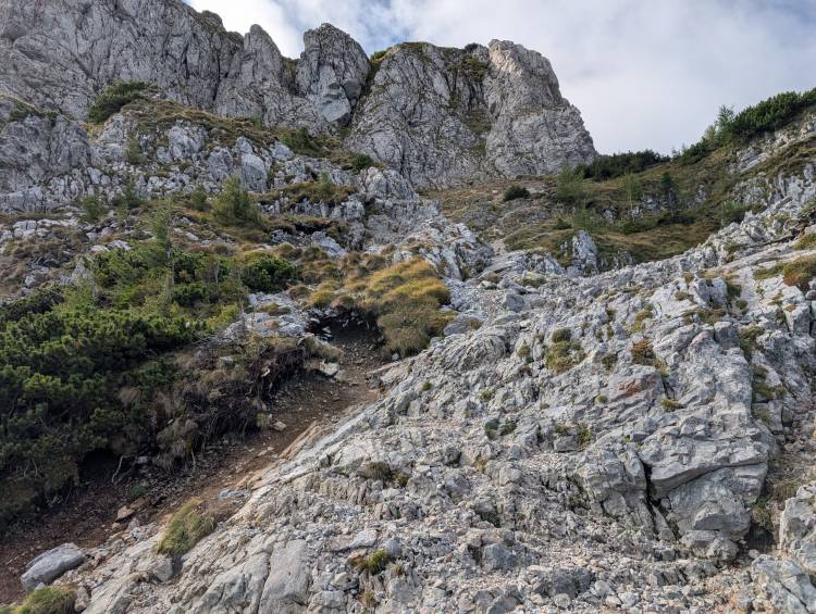 pxl_20250915_084735812.jpg pxl_20250915_084735812.jpg