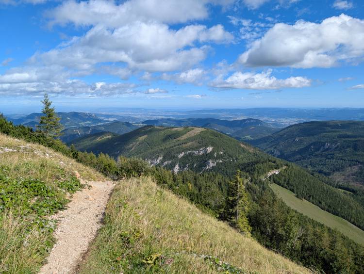 pxl_20250915_120450911.jpg pxl_20250915_120450911.jpg