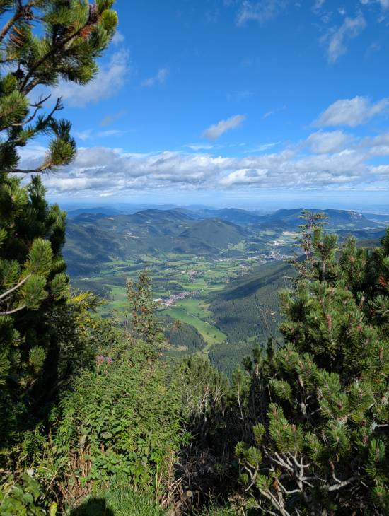 pxl_20250915_120901176.jpg pxl_20250915_120901176.jpg