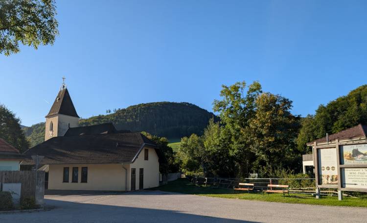 pxl_20250920_061742554.jpg pxl_20250920_061742554.jpg