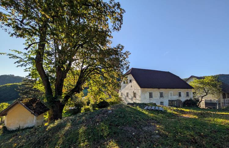 pxl_20250920_064607922.jpg pxl_20250920_064607922.jpg