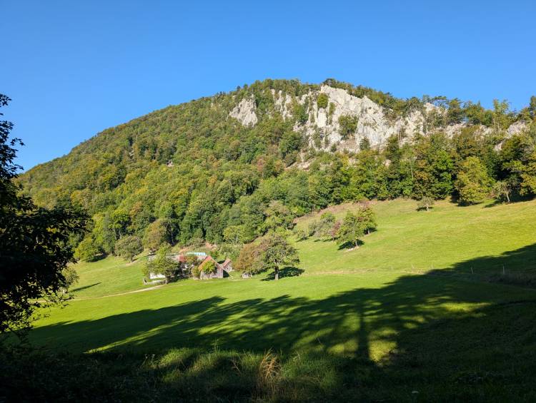 pxl_20250920_072531229.jpg pxl_20250920_072531229.jpg