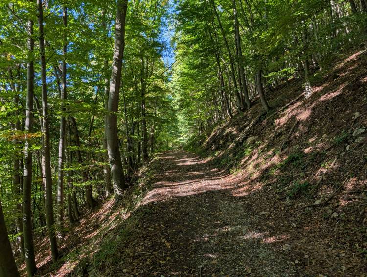 pxl_20250920_073215950.jpg pxl_20250920_073215950.jpg