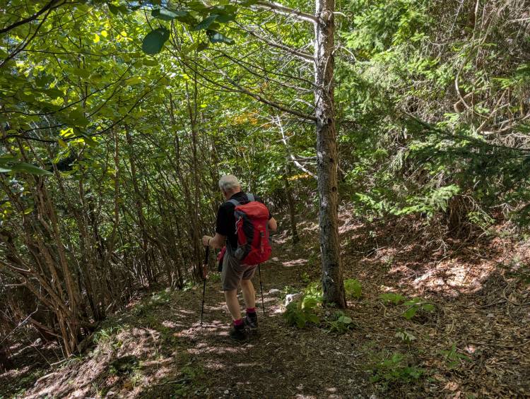 pxl_20250920_091230250.jpg pxl_20250920_091230250.jpg