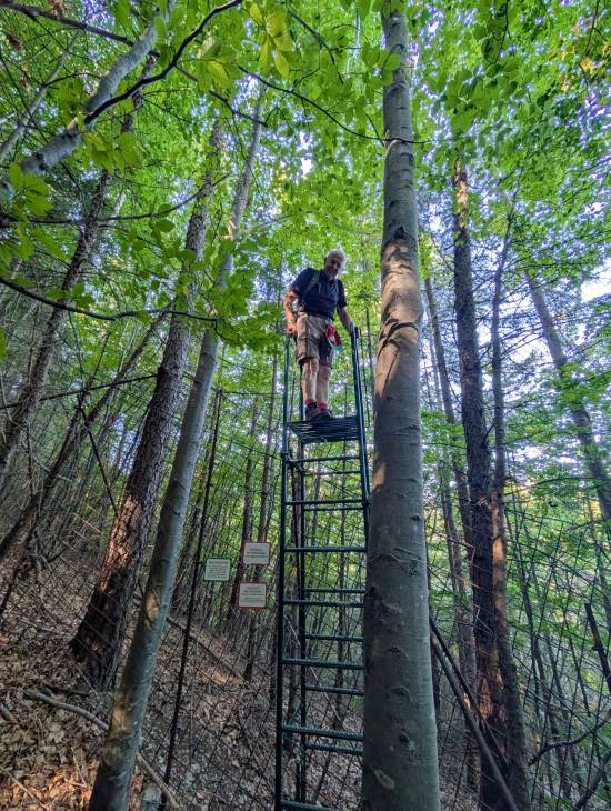 pxl_20250920_094058007.jpg pxl_20250920_094058007.jpg