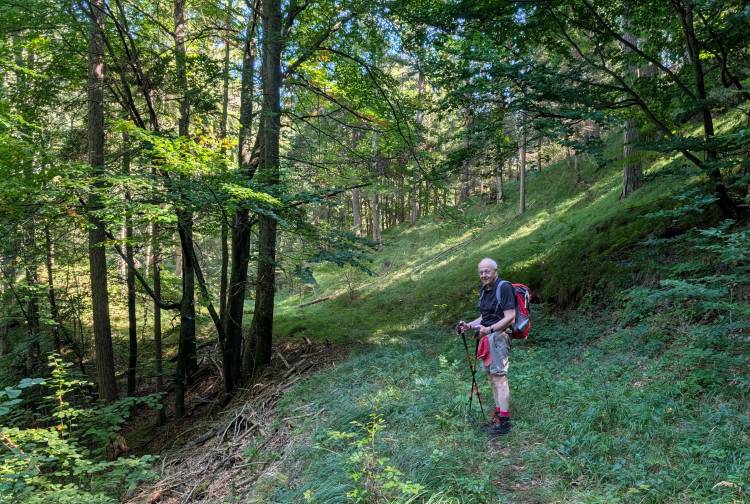 pxl_20250920_101337237.mp.jpg pxl_20250920_101337237.mp.jpg